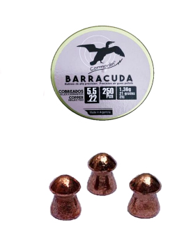 CO_BARR-5,5